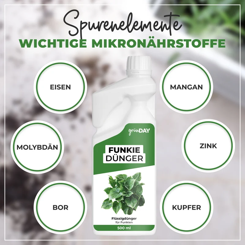 Funkie-Flüssigdünger 500 ml