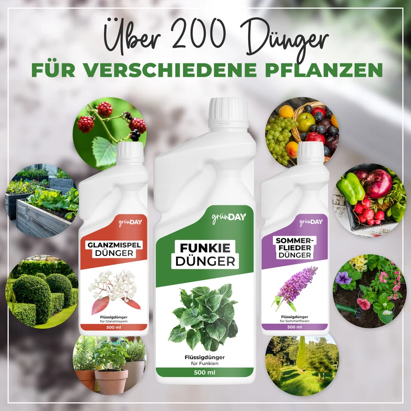 Funkie-Flüssigdünger 500 ml