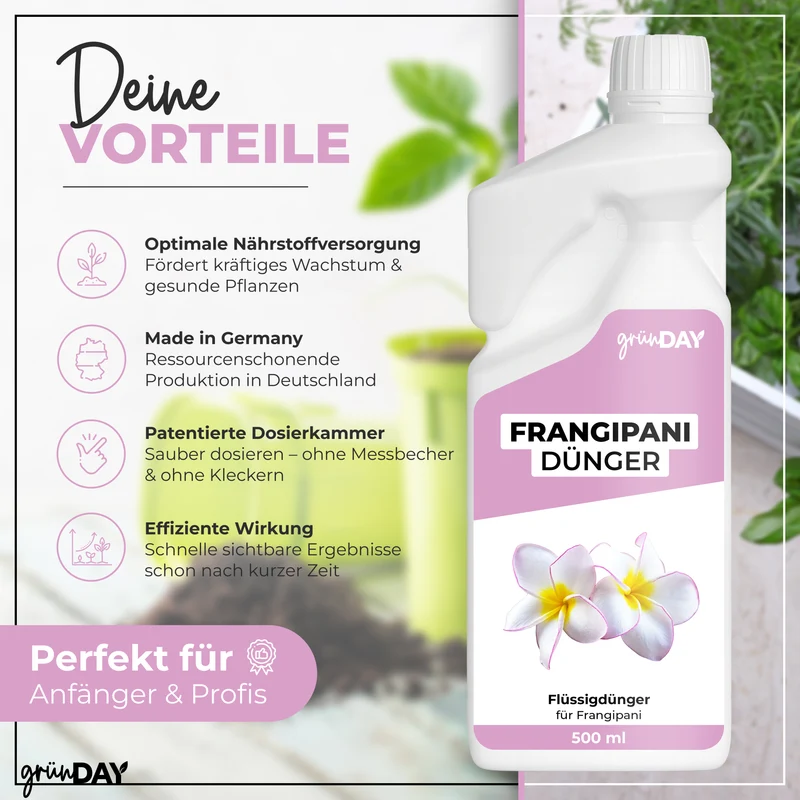 Frangipani-Flüssigdünger 500 ml