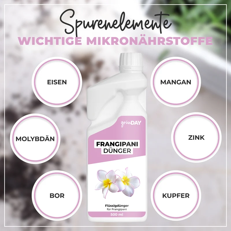 Frangipani-Flüssigdünger 500 ml