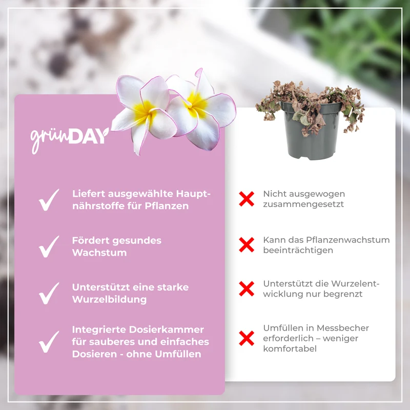 Frangipani-Flüssigdünger 500 ml