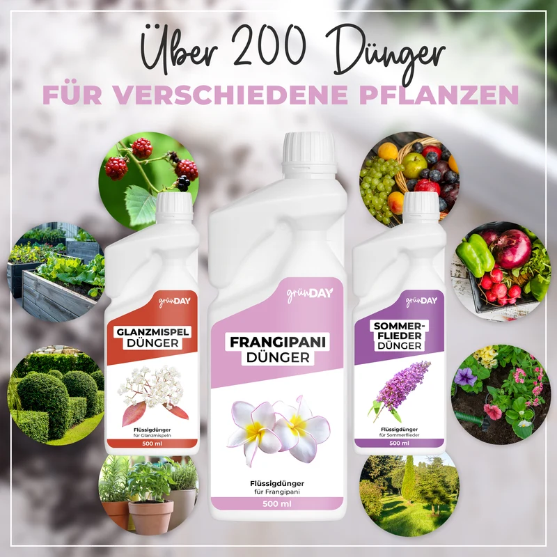 Frangipani-Flüssigdünger 500 ml