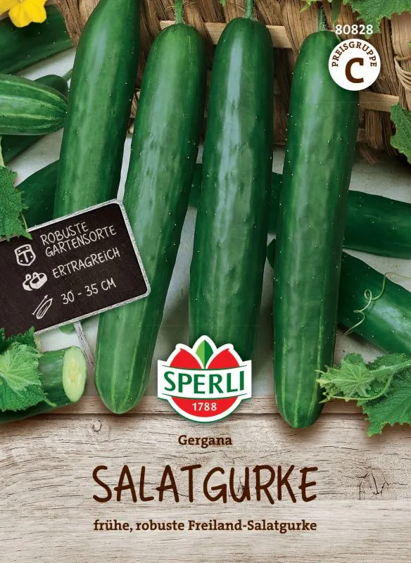 Salatgurkensamen Gergana