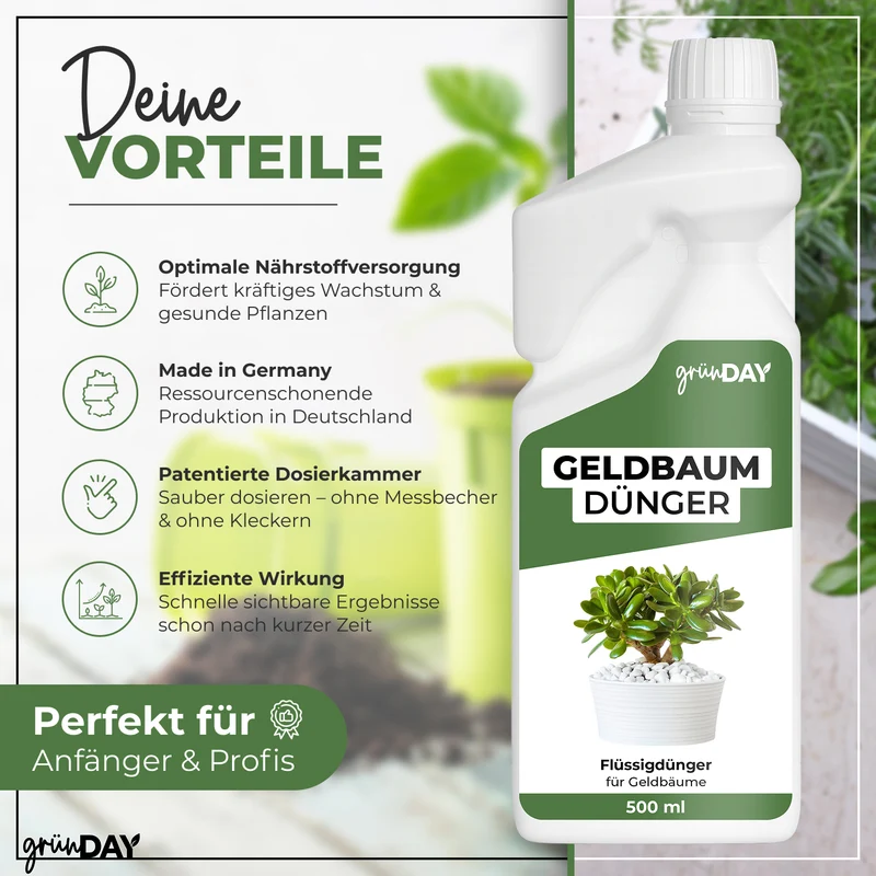 Geldbaum-Flüssigdünger 500 ml