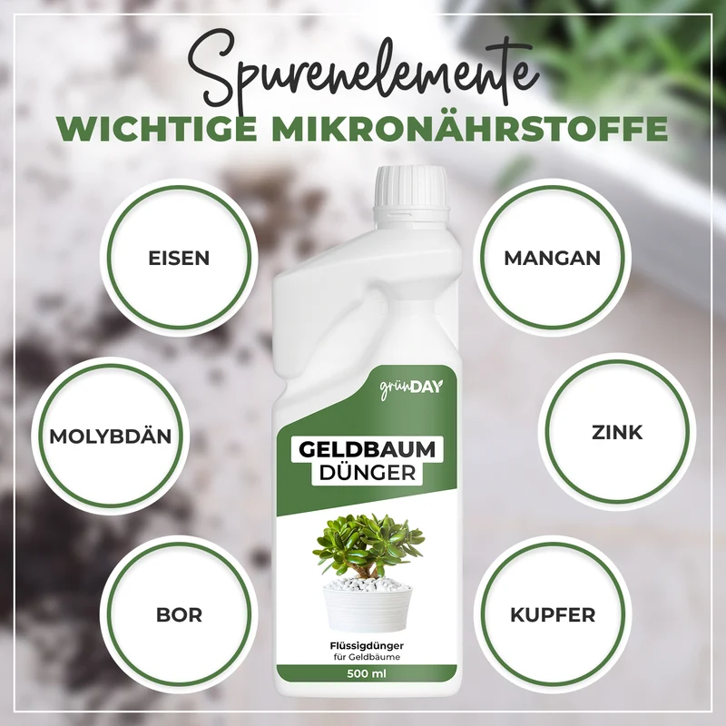 Geldbaum-Flüssigdünger 500 ml