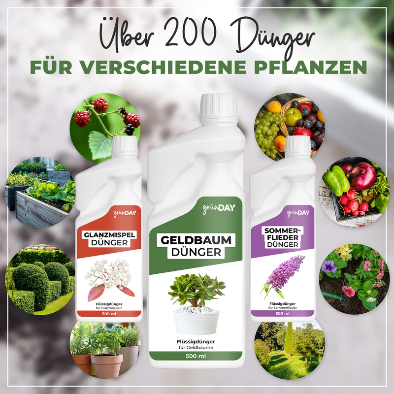Geldbaum-Flüssigdünger 500 ml