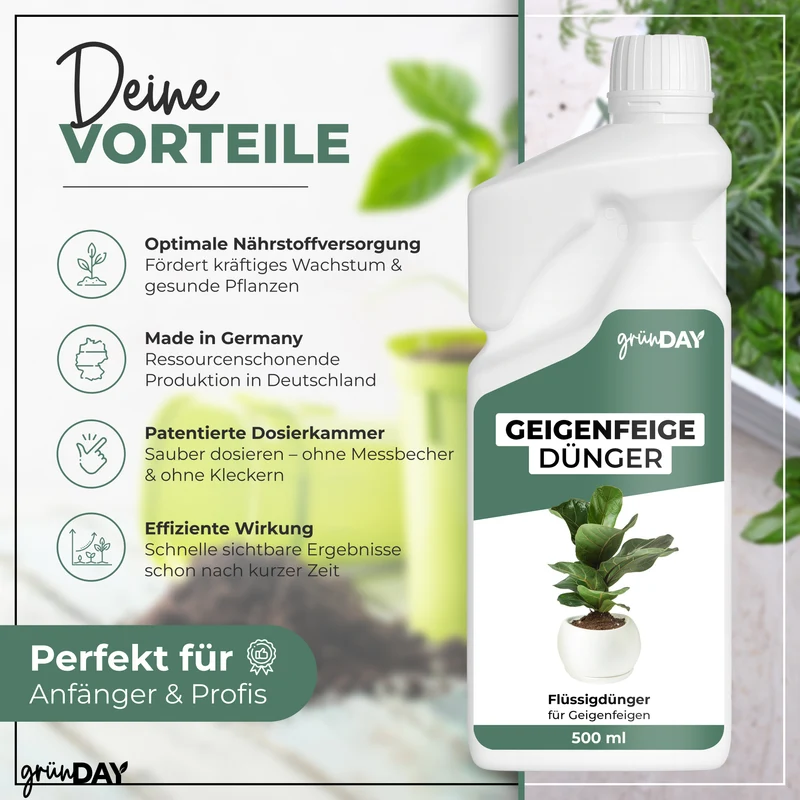 Geigenfeige-Flüssigdünger 500 ml