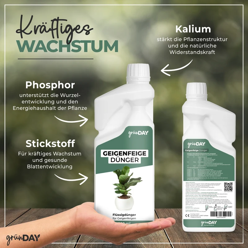 Geigenfeige-Flüssigdünger 500 ml