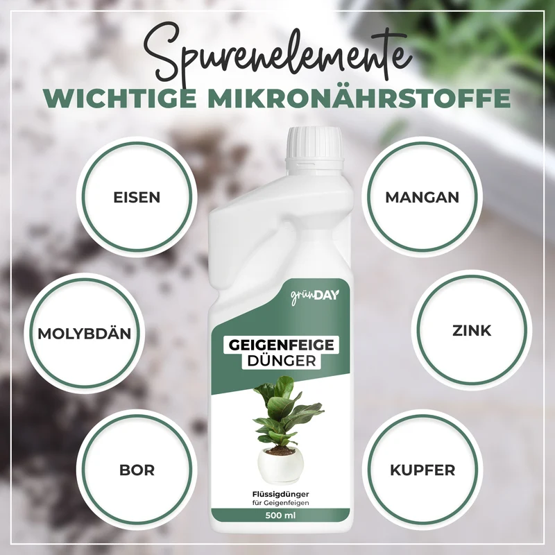 Geigenfeige-Flüssigdünger 500 ml