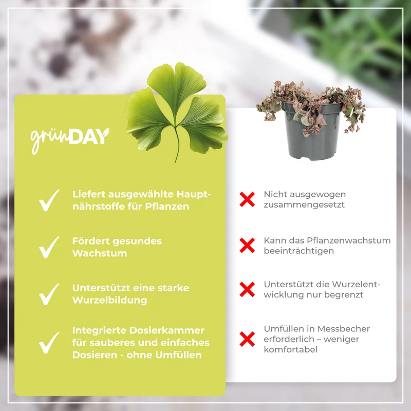 Ginkgo-Flüssigdünger 500 ml
