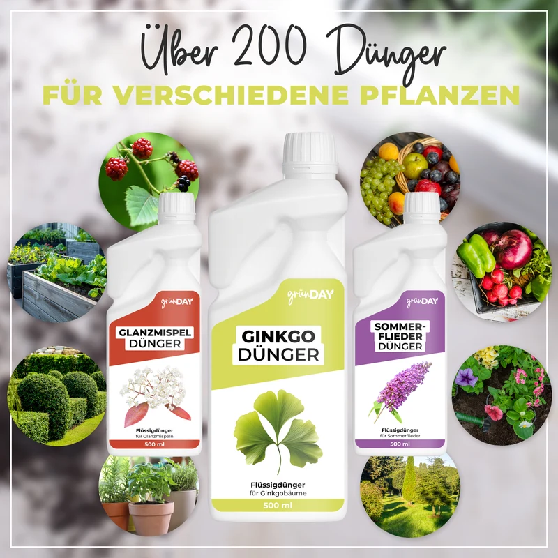 Ginkgo-Flüssigdünger 500 ml