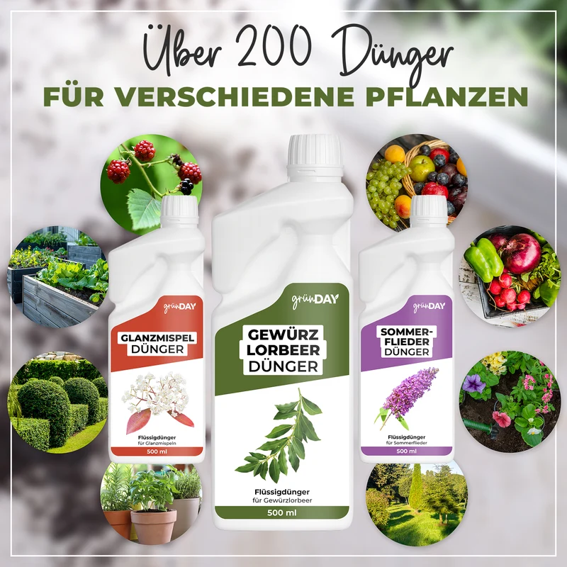 Gewürzlorbeer-Flüssigdünger 500 ml