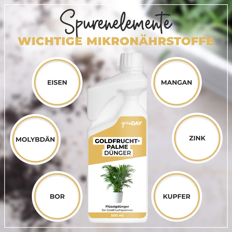 Goldfruchtpalme-Flüssigdünger 500 ml