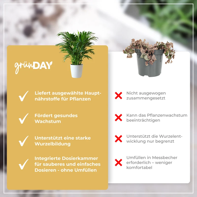 Goldfruchtpalme-Flüssigdünger 500 ml