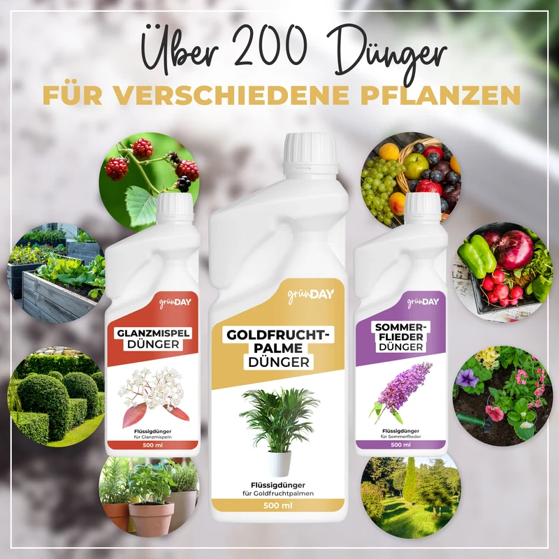 Goldfruchtpalme-Flüssigdünger 500 ml