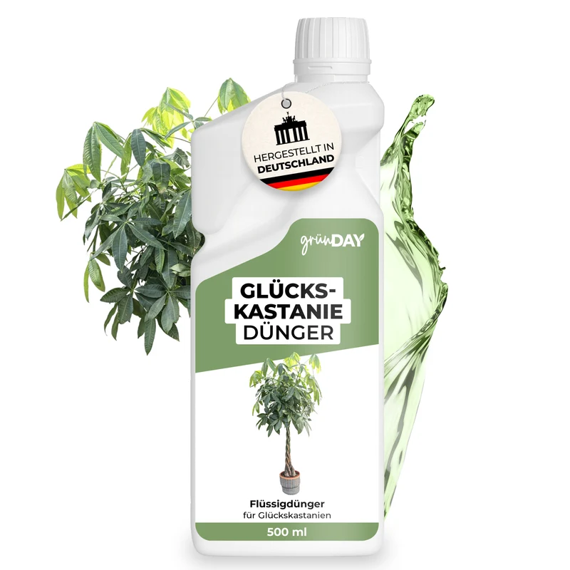 Glückskastanie-Flüssigdünger 500 ml