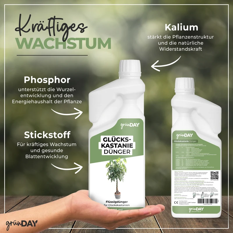 Glückskastanie-Flüssigdünger 500 ml