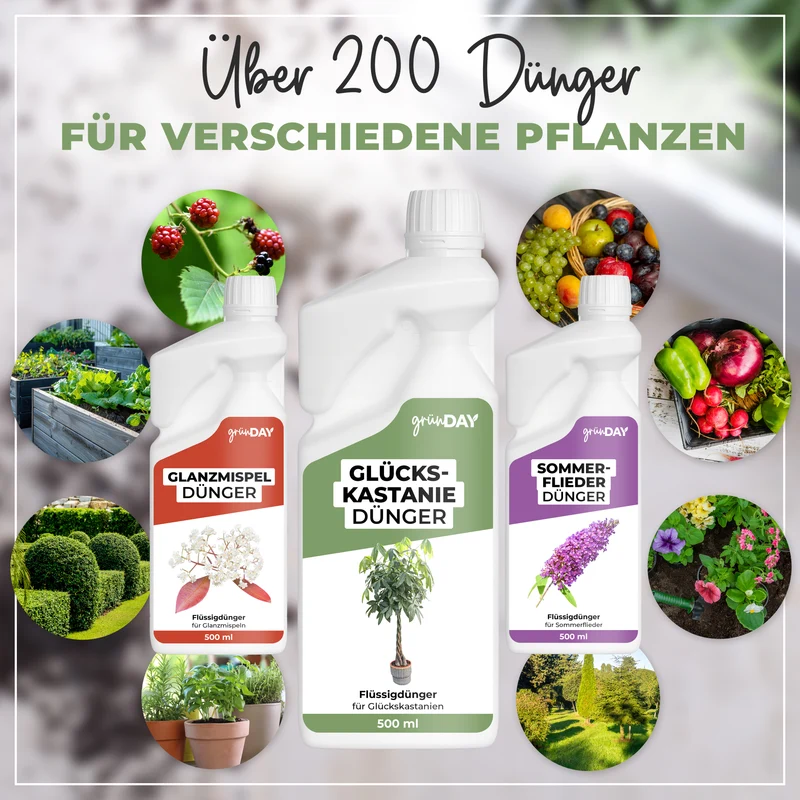 Glückskastanie-Flüssigdünger 500 ml