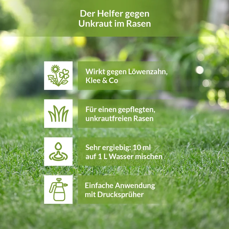 Dicotex Rasenunkrautvernichter