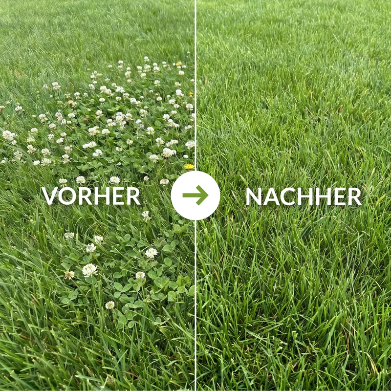 Dicotex Rasenunkrautvernichter