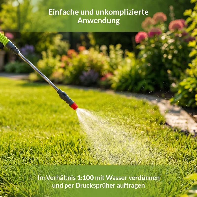 Dicotex Rasenunkrautvernichter