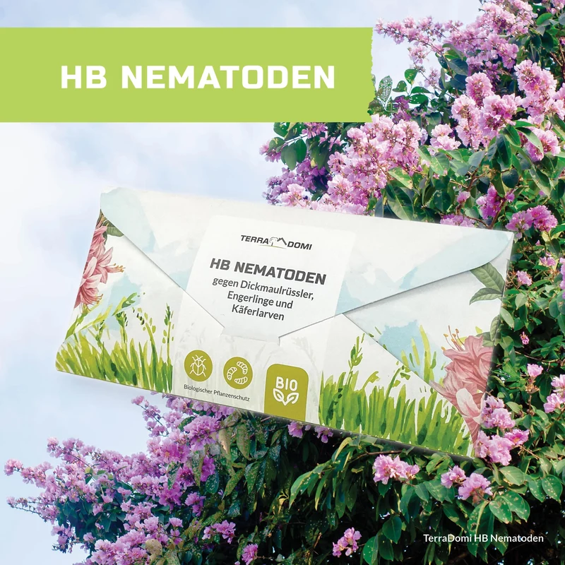 TerraDomi HB Nematoden gegen Dickmaulrüssler, Engerlinge und Käferlarven