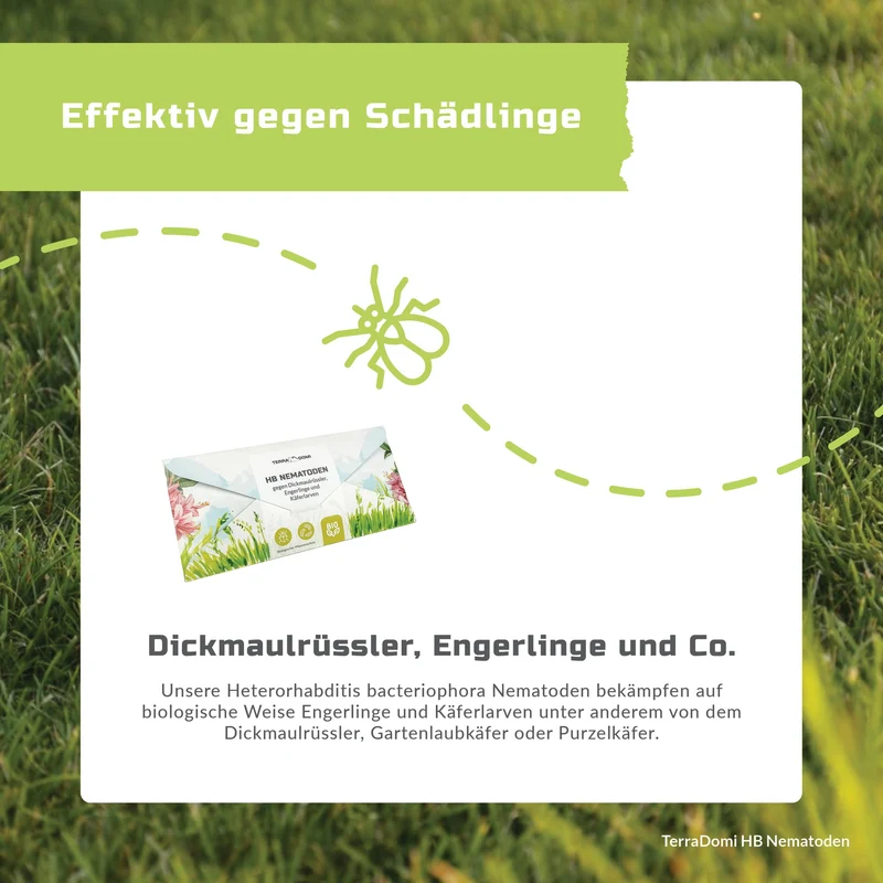 TerraDomi HB Nematoden gegen Dickmaulrüssler, Engerlinge und Käferlarven