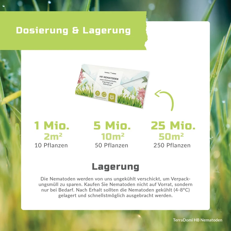 TerraDomi HB Nematoden gegen Dickmaulrüssler, Engerlinge und Käferlarven