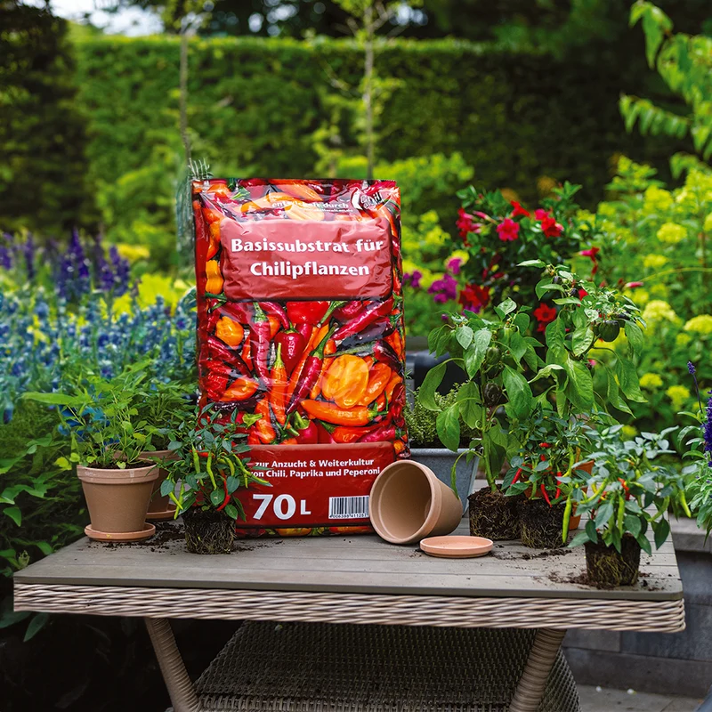 Floragard Universal Chili Substrat - Basiserde zur Anzucht & Weiterkultur von Chili, Paprika & Peperoni