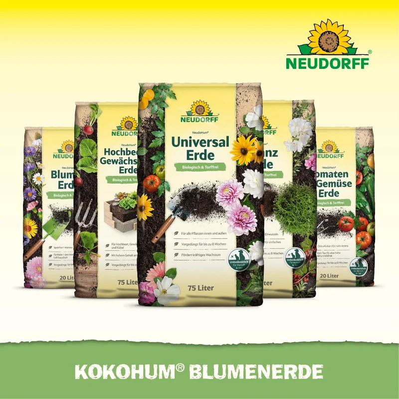 Kokohum BlumenErde