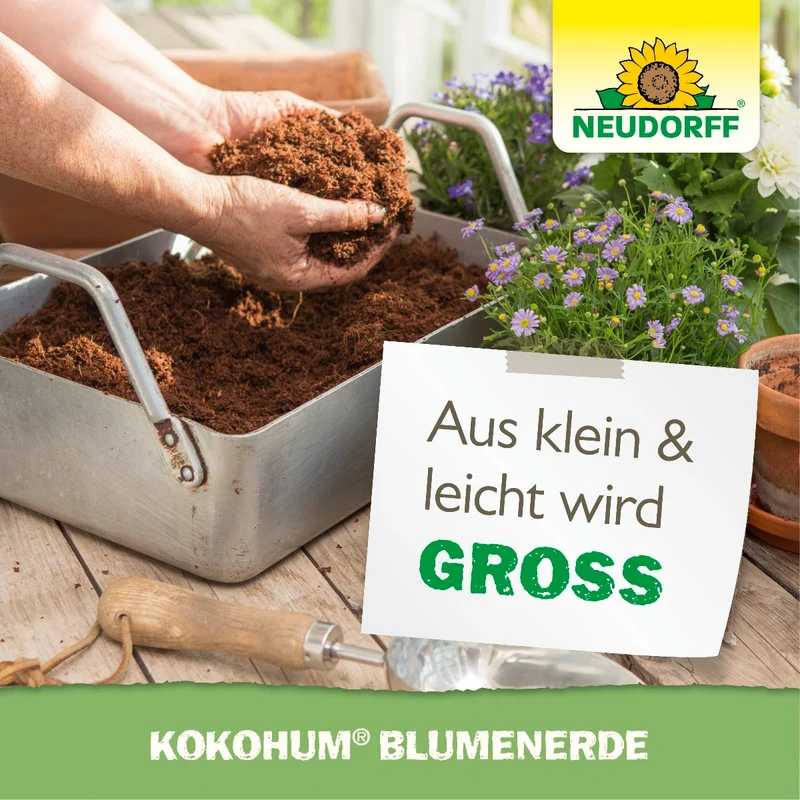 Kokohum BlumenErde
