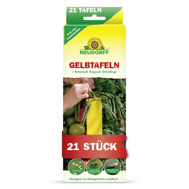 Gelbtafeln (kleinformatig)