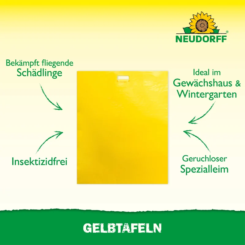 Gelbtafeln (großformatig)