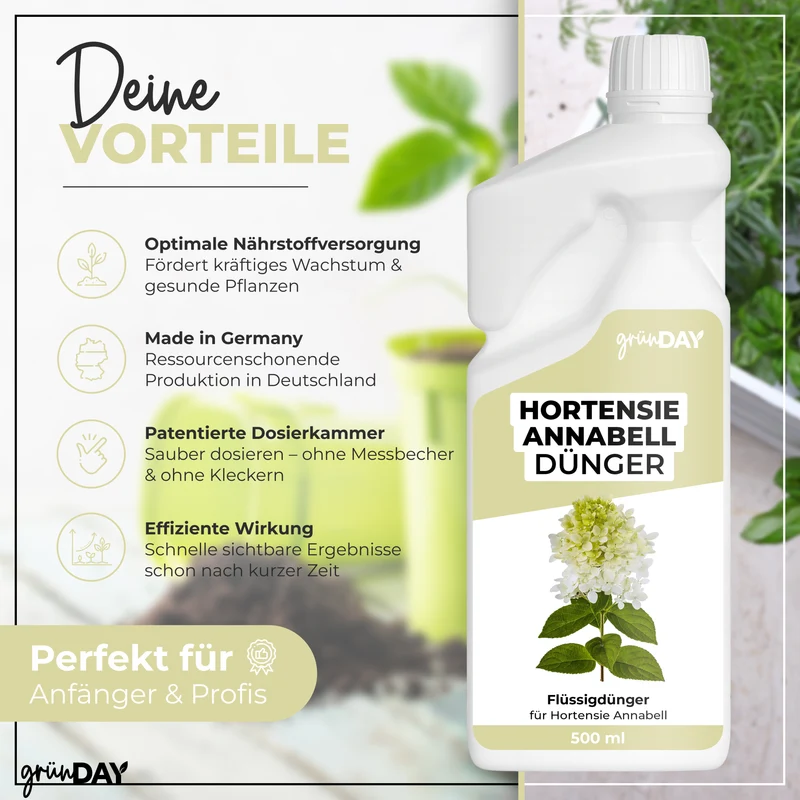 Hortensie Annabell-Flüssigdünger 500 ml