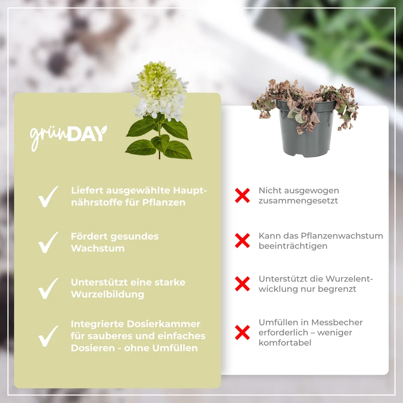 Hortensie Annabell-Flüssigdünger 500 ml
