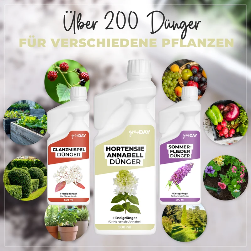 Hortensie Annabell-Flüssigdünger 500 ml