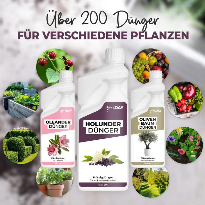 Holunder-Flüssigdünger 500 ml