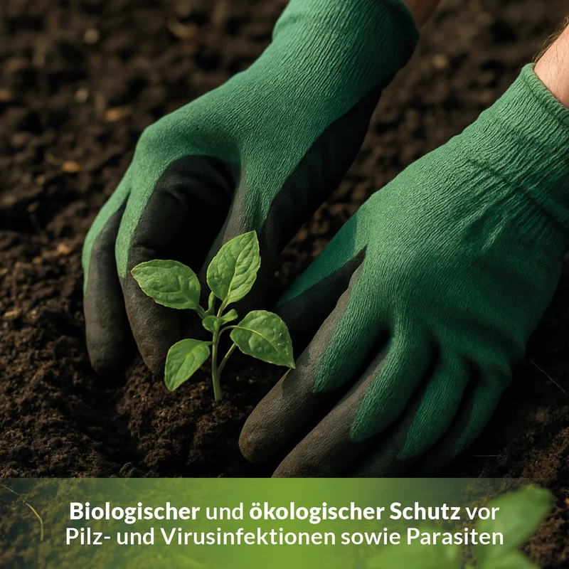 TerraDomi Algenkalk | 100% echter Meereskalk zur Stärkung der Widerstandsfähigkeit