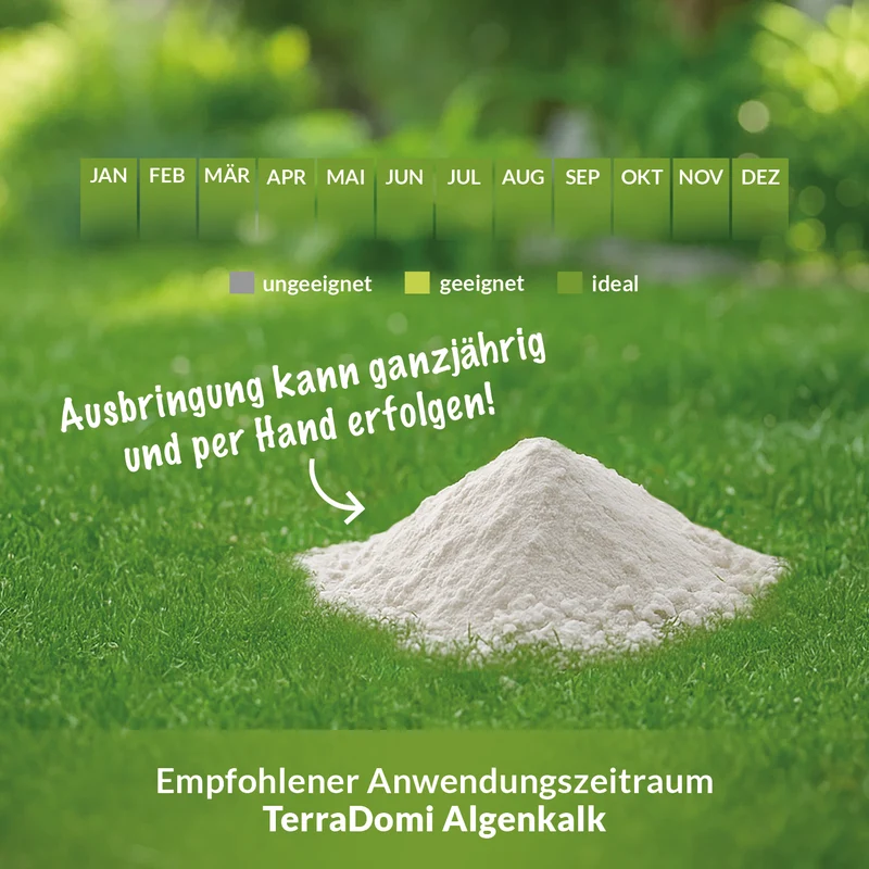 TerraDomi Algenkalk | 100% echter Meereskalk zur Stärkung der Widerstandsfähigkeit