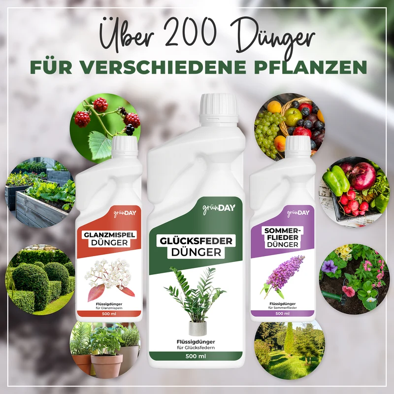 Glücksfeder-Flüssigdünger 500 ml