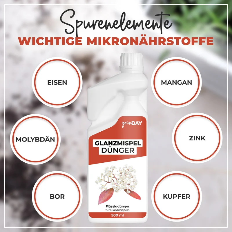 Glanzmispel-Flüssigdünger 500 ml