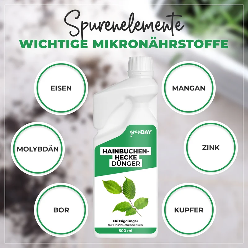 Hainbuchenhecke-Flüssigdünger 500 ml