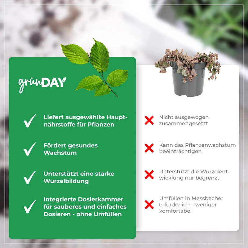 Hainbuchenhecke-Flüssigdünger 500 ml