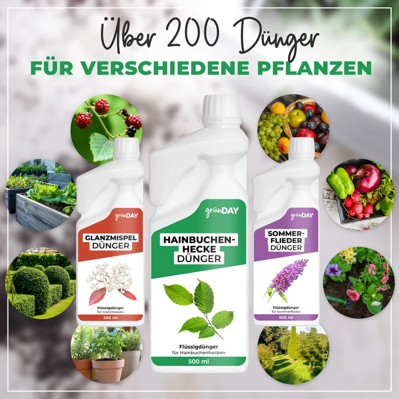 Hainbuchenhecke-Flüssigdünger 500 ml