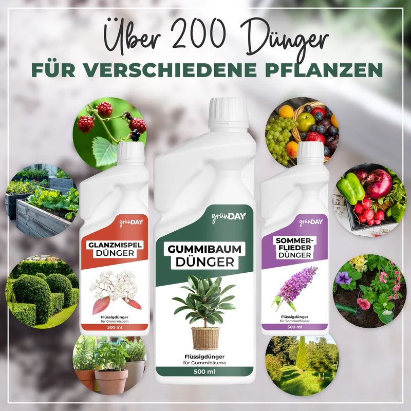 Gummibaum-Flüssigdünger 500 ml