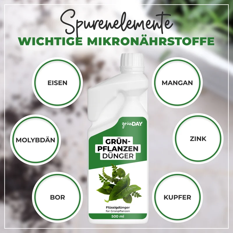 Grünpflanzen-Flüssigdünger 500 ml