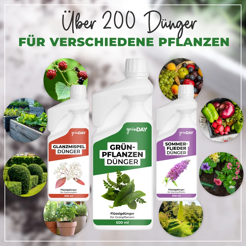 Grünpflanzen-Flüssigdünger 500 ml