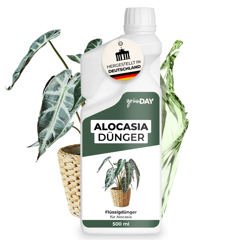Alocasia-Flüssigdünger 500 ml