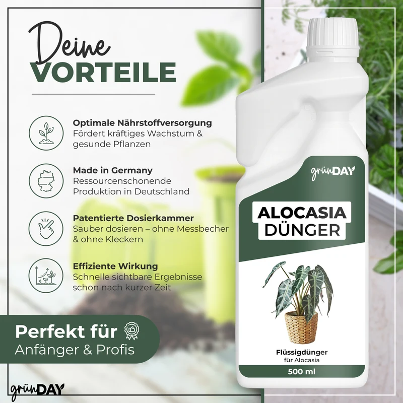 Alocasia-Flüssigdünger 500 ml