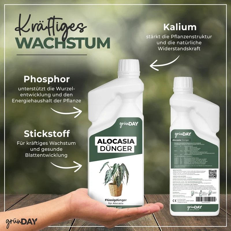 Alocasia-Flüssigdünger 500 ml